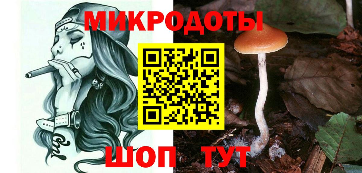 Сланцы  Псилоцибиновые грибы Psilocybe  Вход с VPN 